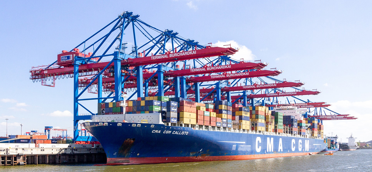 1632385993868113.jpg pexels.jpg